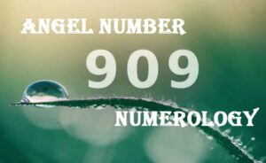 909 angel number meaning