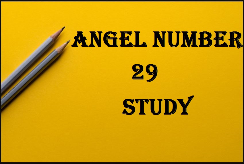 29 angel number study