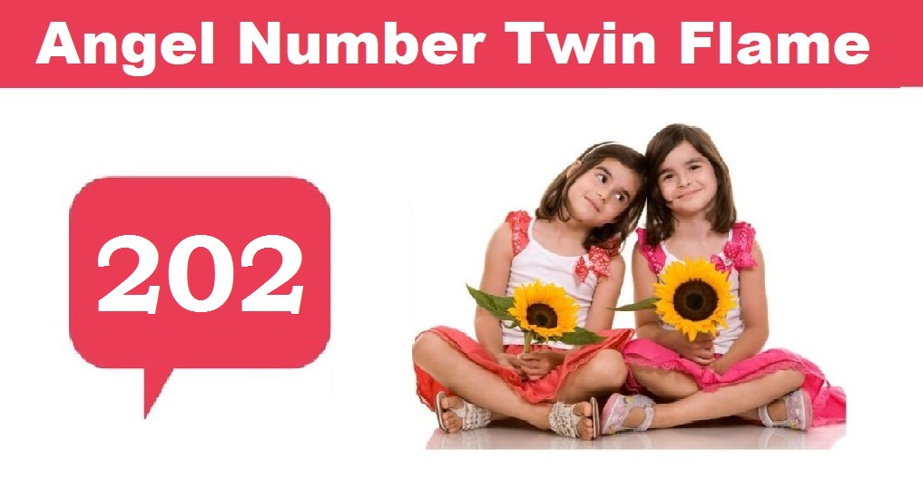 202 angel number twin flame
