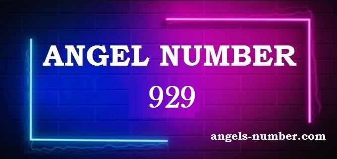 929 Angel Number What Does It Mean?