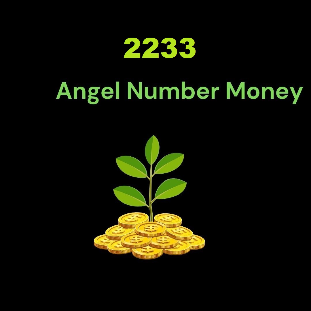 2233 Angel Number For Money 