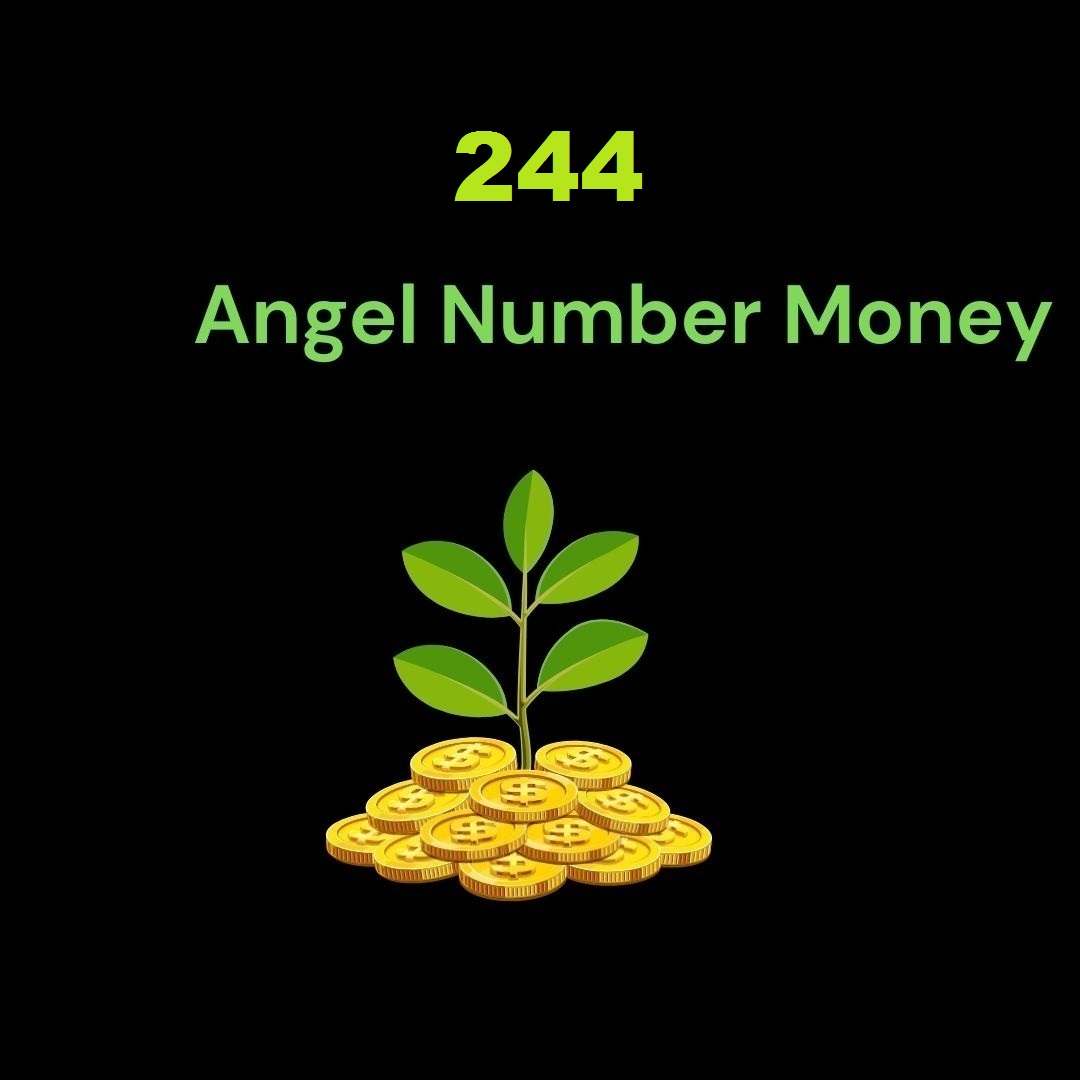 244 Angel Number For Money