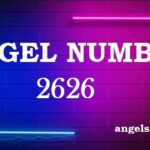 2626 Angel Number What Does It Mean?