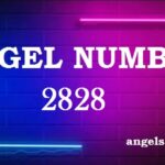 2828 Angel Number What Does It Mean?