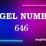 646 Angel Number What Does It Mean?