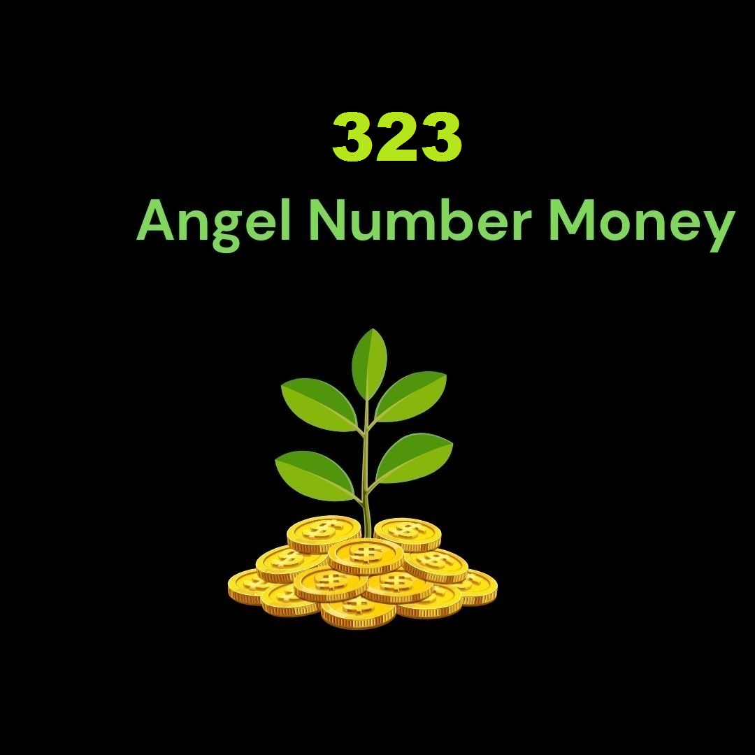 323 Angel Number For Money
