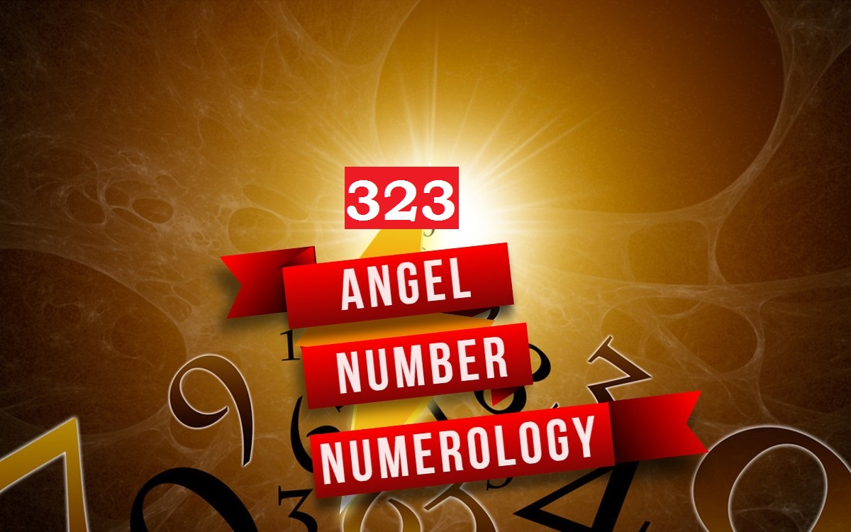 323 angel number numerology
