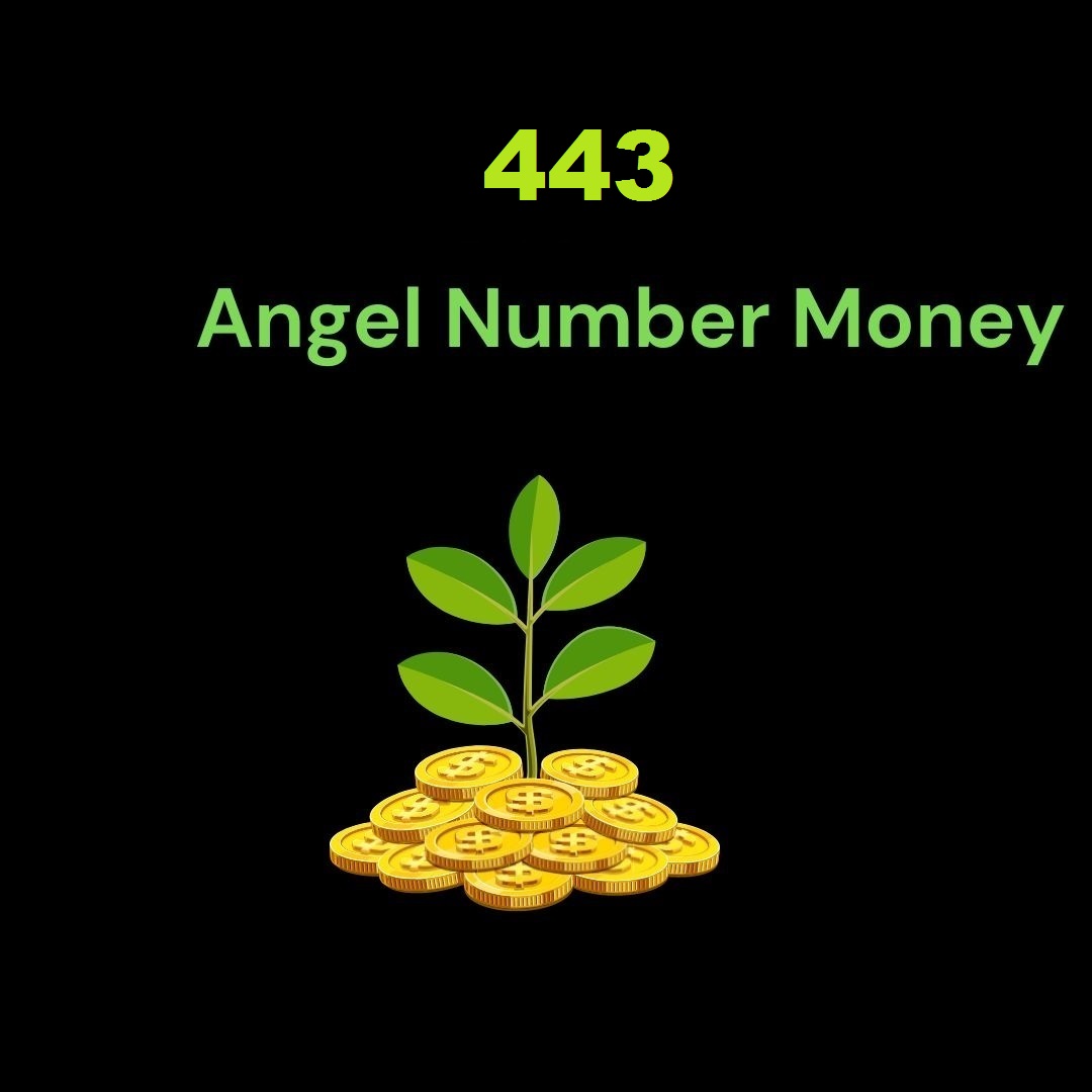 443 Angel Number Money