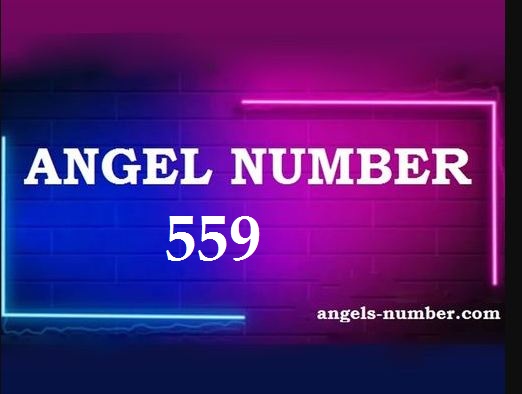559 Angel Number Meaning